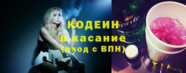 сатива Краснослободск