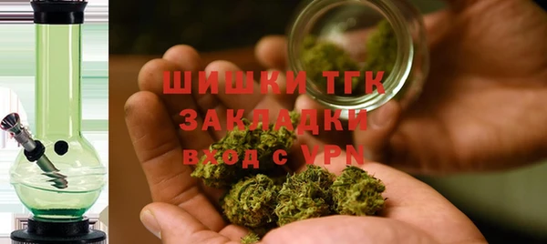 сатива Краснослободск