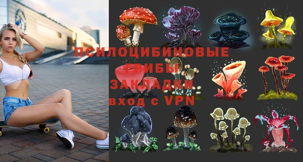 сатива Краснослободск