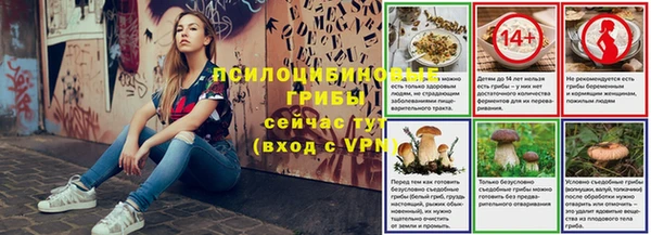 сатива Краснослободск