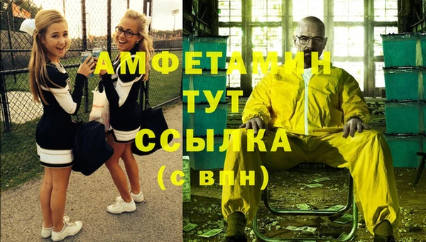 сатива Краснослободск