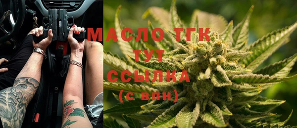 индика Краснотурьинск