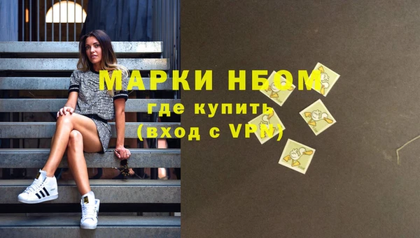 индика Краснотурьинск