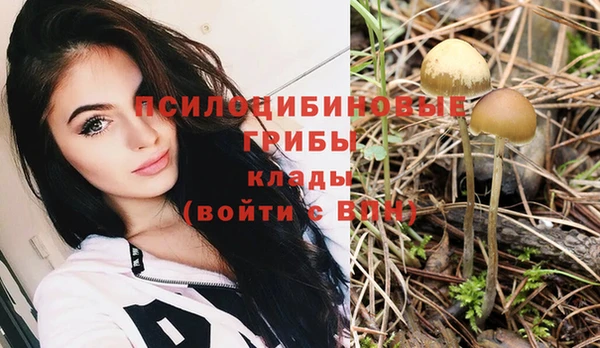 индика Краснотурьинск