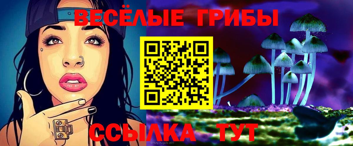 Галлюциногенные грибы Magic Shrooms  Вход с VPN  Дербент 