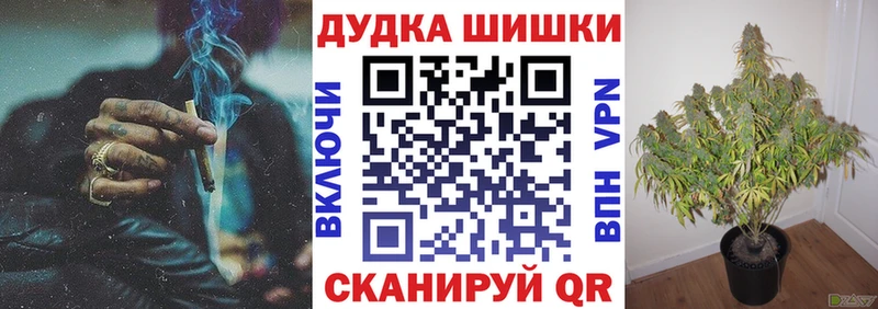 Шишки марихуана конопля Дербент